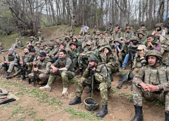 «Нация-армия», профессиональная армия или армия для галочки?