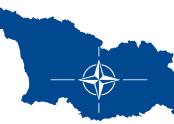 Վրաստանի եվրատլանտյան ծրագրերը․ նախադրյալներ, հնարավորություններ, հեռանկարներ