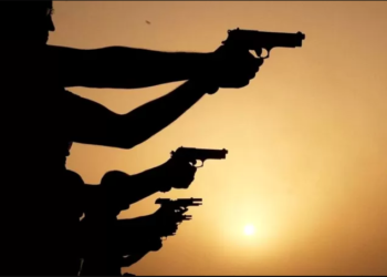 Զենք, հասարակություն և պետություն