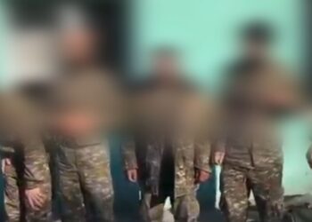 Իմաստավորելով հեռուստաբռնության լեզուն, դրա տիպերն ու ցուցադրումները