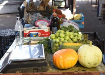 От семьи переселенцев требуются большие усилия, чтобы справиться с удвоенными трудностями блокады